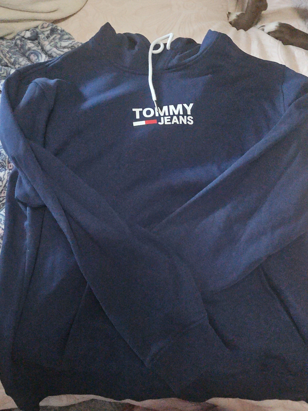 Tommy Hilfiger Navy Hoodie with Flag Logo